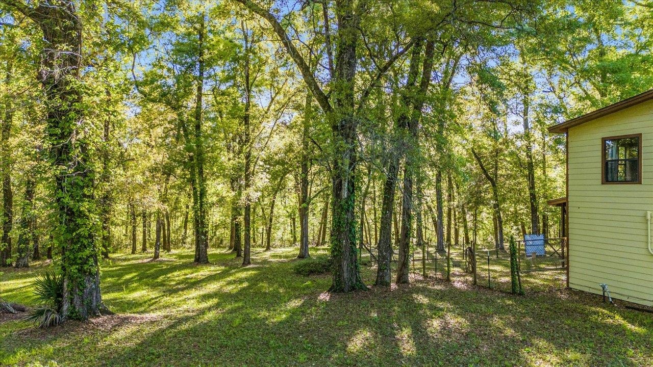 767 Frank Smith Road Quincy, FL 32352 - Photo 6 of 40 Gallery Image 6