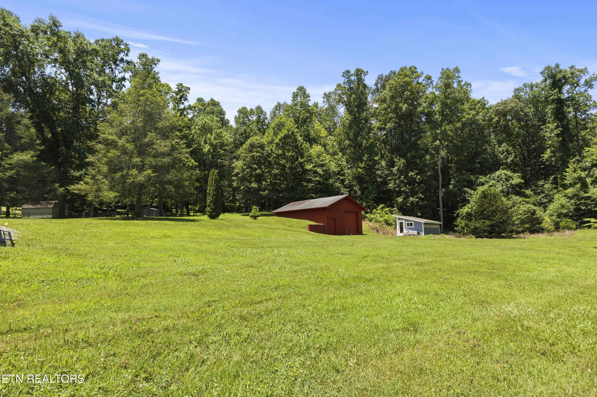 99 Reservoir Road Norris, TN 37828 - Photo 38 of 47 a backyard of a house with lots of green space