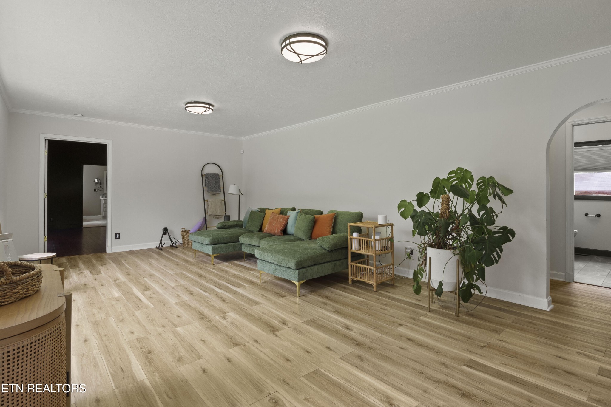 99 Reservoir Road Norris, TN 37828 - Photo 6 of 47 a living room with furniture and a potted plant