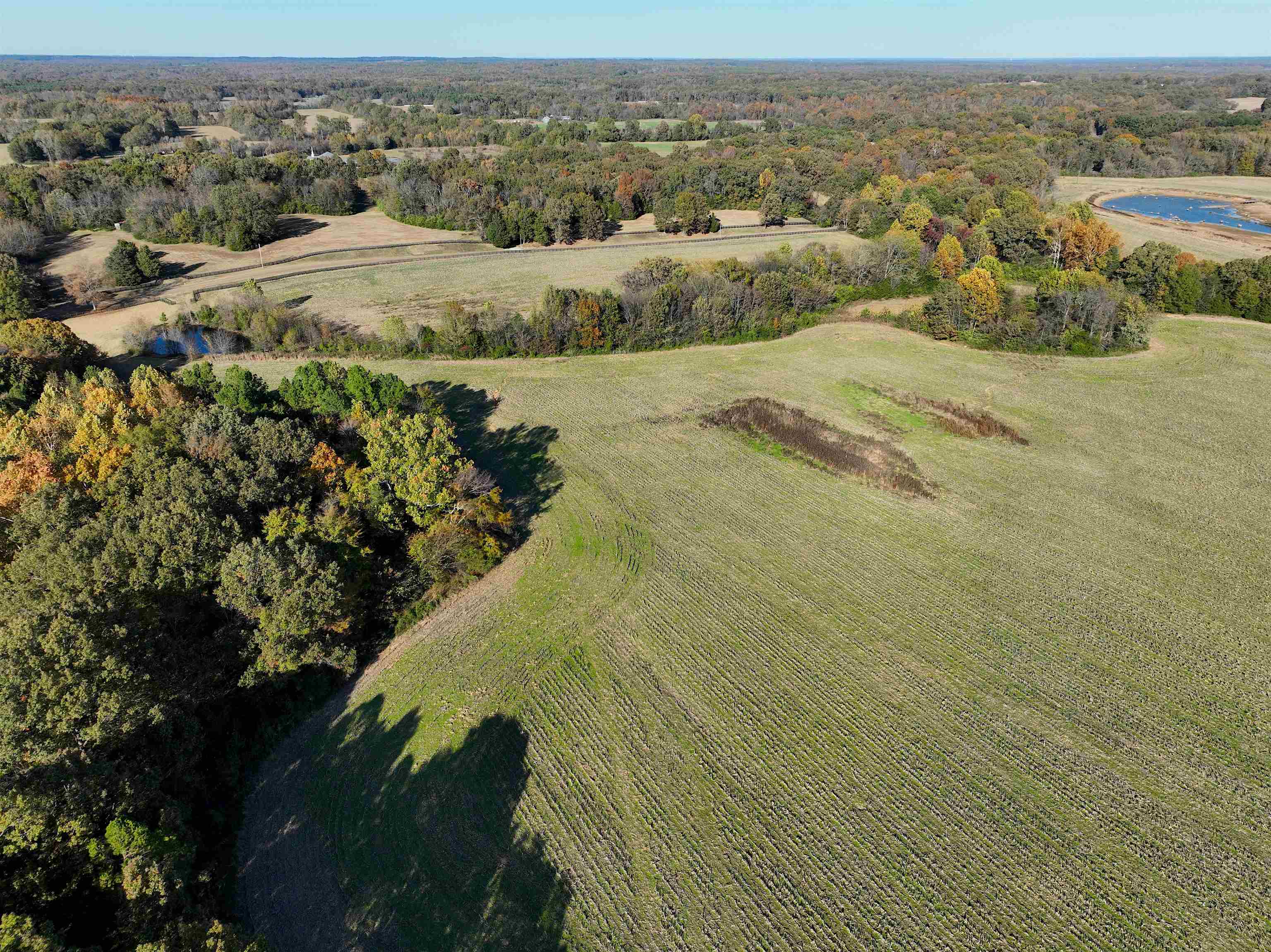 350 Richardson Road Grand Junction, TN 38039 - Photo 14 of 18 Gallery Image 14