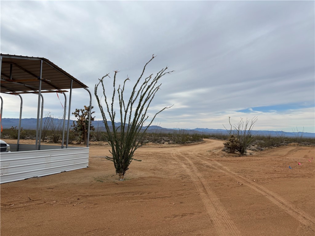 0 South Lone Ranger Road Yucca, AZ 86438 - Photo 20 of 46 looking at driveway