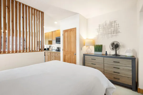 $705,000 | 619 West Columbia Avenue, Unit D201, Telluride, CO 81435