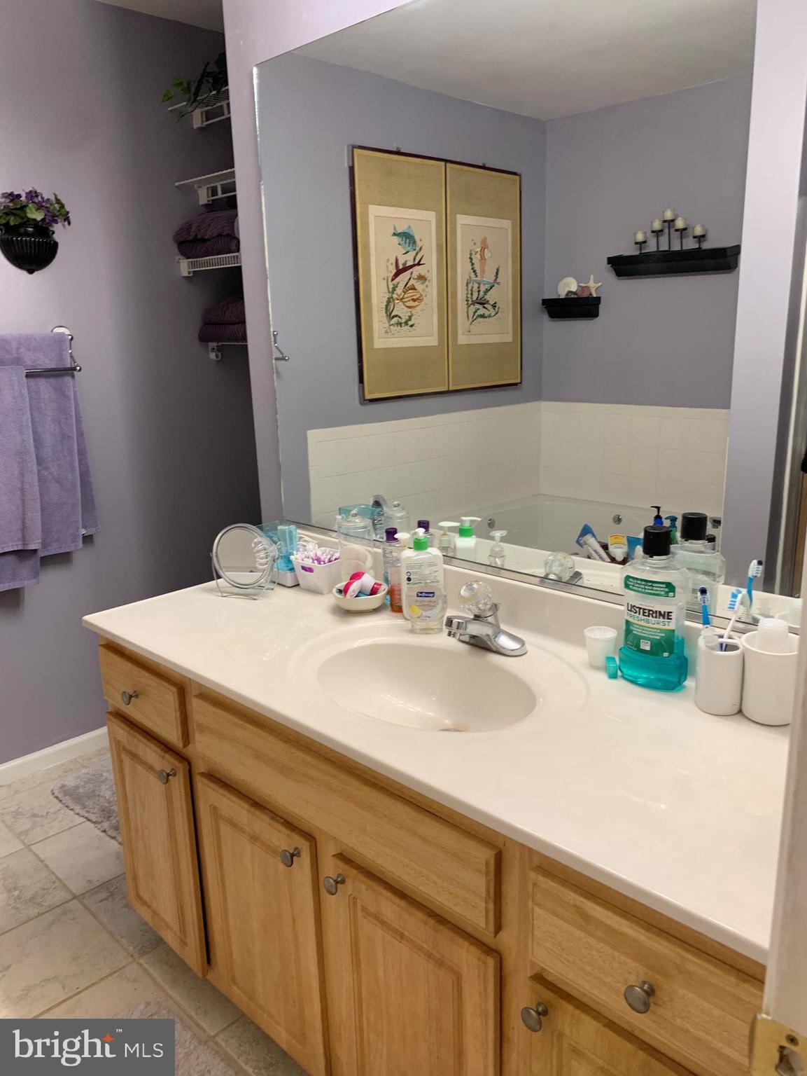 7625 Gumboro Road Pittsville, MD 21850 - Photo 11 of 22 Master bath