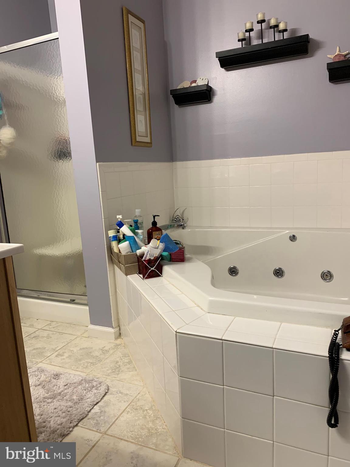 7625 Gumboro Road Pittsville, MD 21850 - Photo 12 of 22 Master bath tub