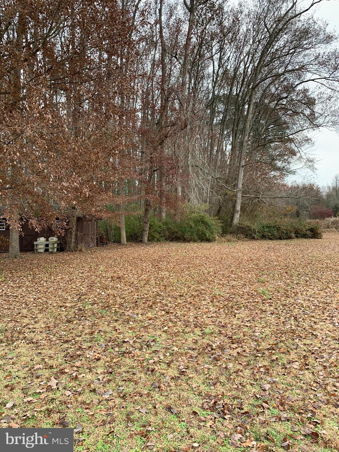 7625 Gumboro Road Pittsville, MD 21850 - Photo 22 of 22 Back yard