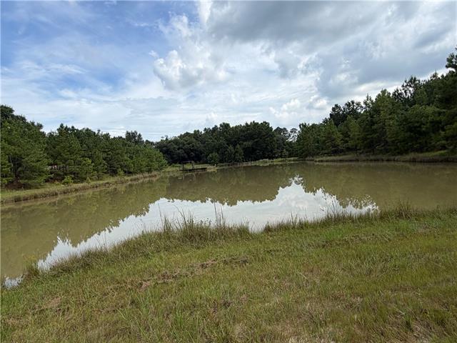 598 Pawnee Road Oakdale, LA 71463 - Photo 2 of 31 Gallery Image 2