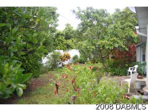 106 Rains Drive Ponce Inlet, FL 32127 - Photo 12 of 12 Additional Photo