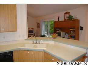 106 Rains Drive Ponce Inlet, FL 32127 - Photo 8 of 12 Additional Photo