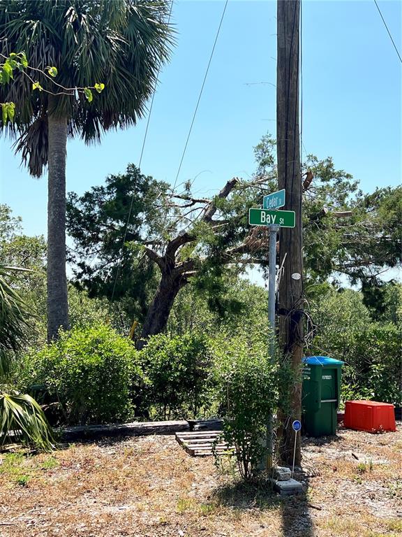 12301 Cedar Street Cedar Key, FL 32625 - Photo 36 of 38 a view of a backyard