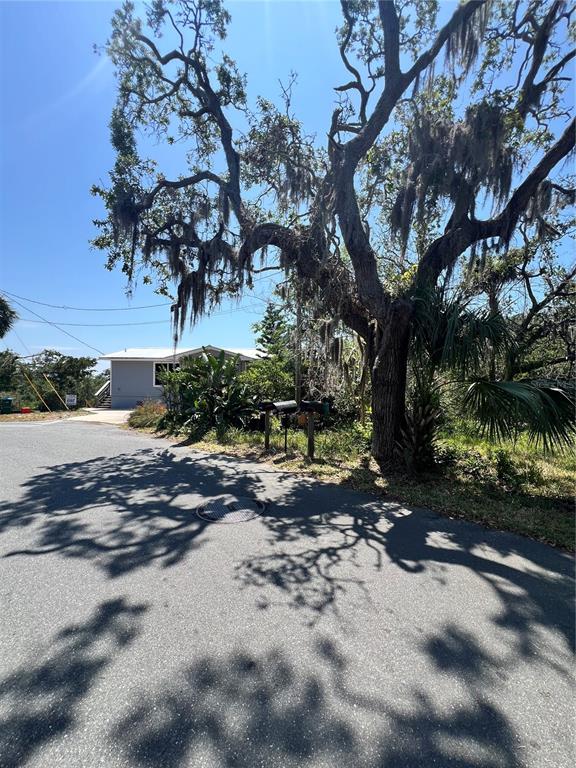 12301 Cedar Street Cedar Key, FL 32625 - Photo 37 of 38 a view of a tree in front of a yard