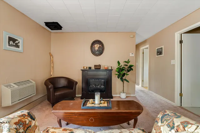 a living room with furniture a window and a potted plant