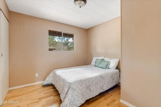 a room with furniture and a potted plant