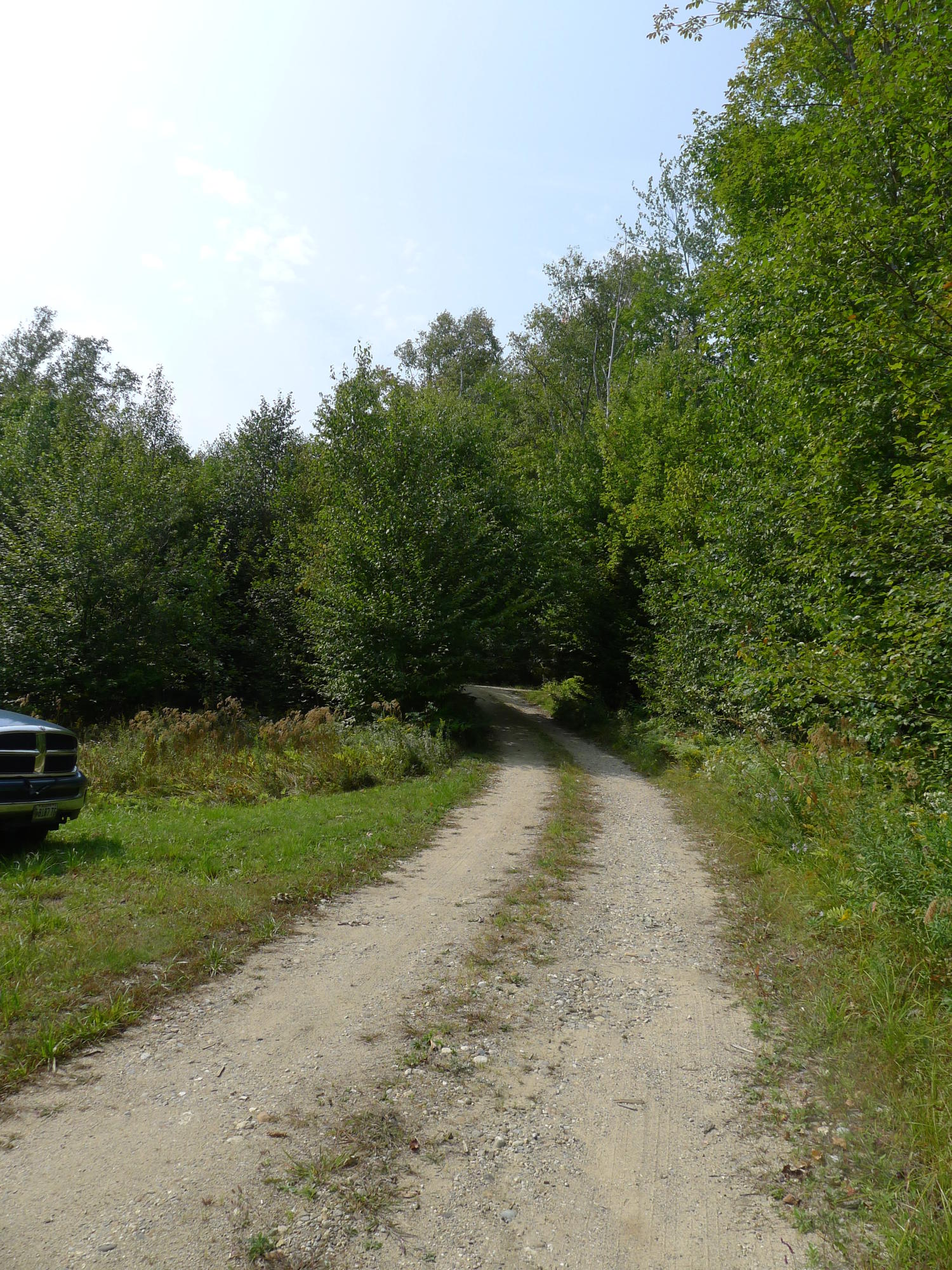 Lot 11 Basin Road Carthage, ME 04224 - Photo 42 of 43 Looking down to the road