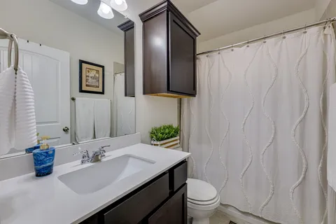 a bathroom with a sink a toilet and shower curtain