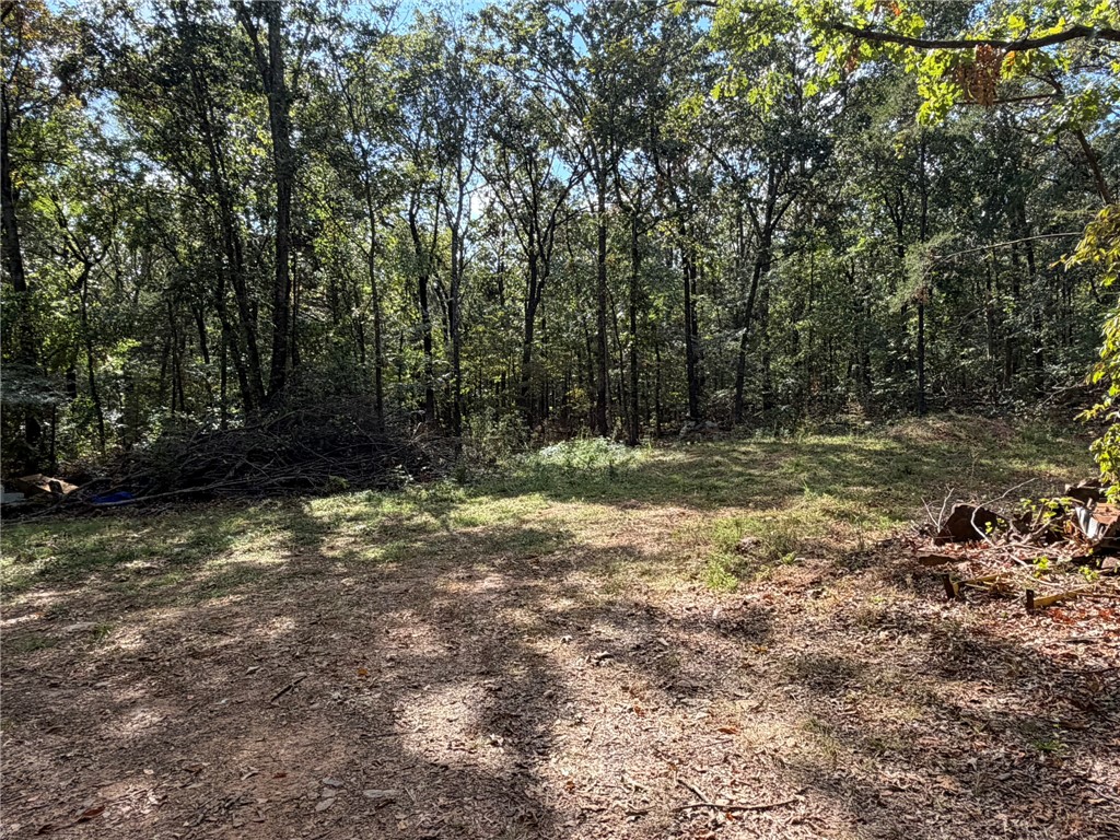 15901 Peaceful Home Road Natural Dam, AR 72948 - Photo 28 of 32 Gallery Image 28