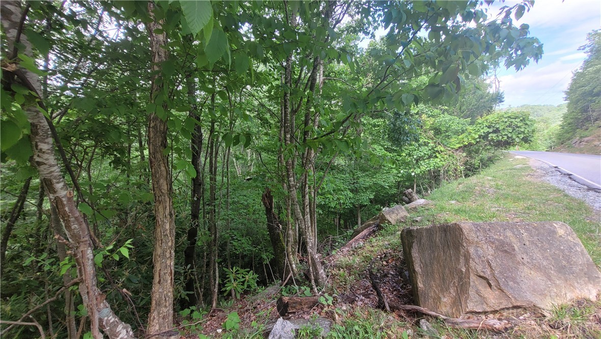 425 Pinnacle Ridge Road Beech Mountain, NC 28604 - Photo 6 of 14 a view of backyard with green space