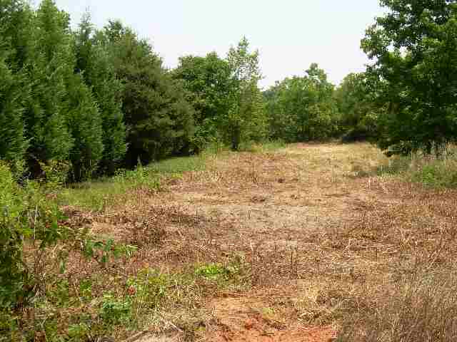 Acerage Ridge Road Greer, SC 29651 - Photo 1 of 4