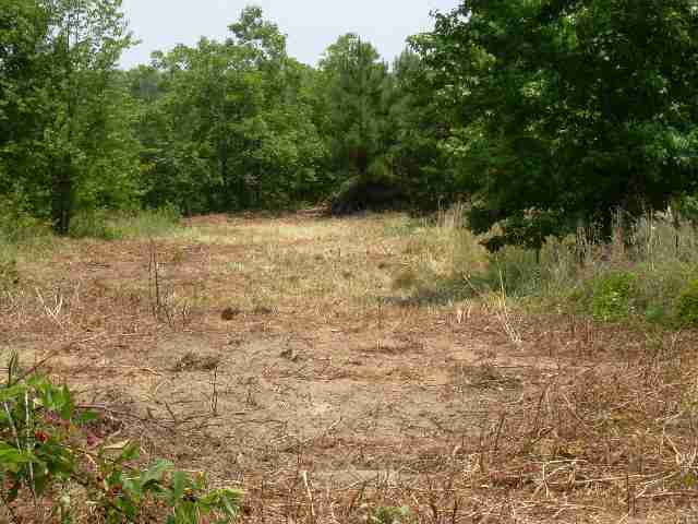 Acerage Ridge Road Greer, SC 29651 - Photo 3 of 4