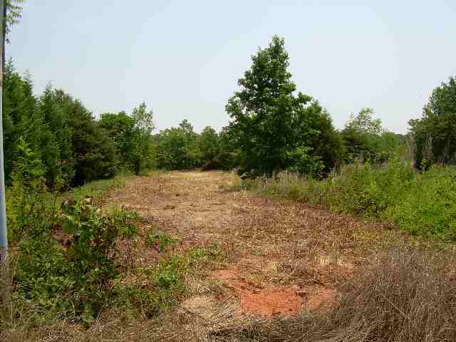 Acerage Ridge Road Greer, SC 29651 - Photo 4 of 4