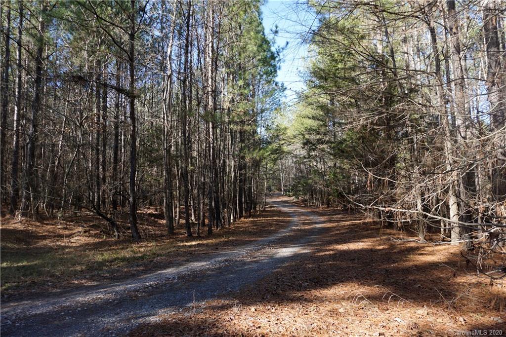 1274 State Rd S-46-169 McConnells, SC 29726 - Photo 41 of 48 Gallery Image 41