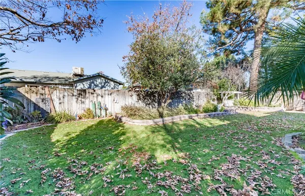 a view of a yard with a tree