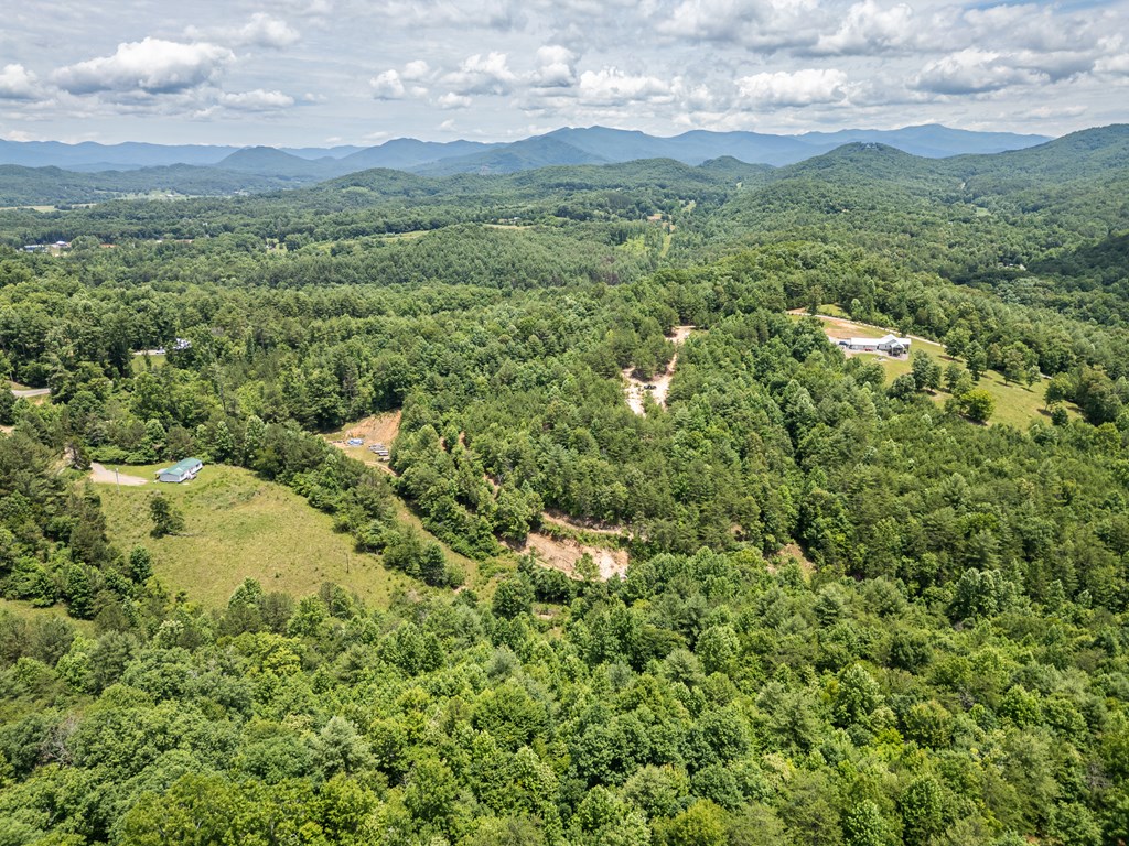 2 Stormy Ridge Brasstown, NC 28902 - Photo 12 of 16