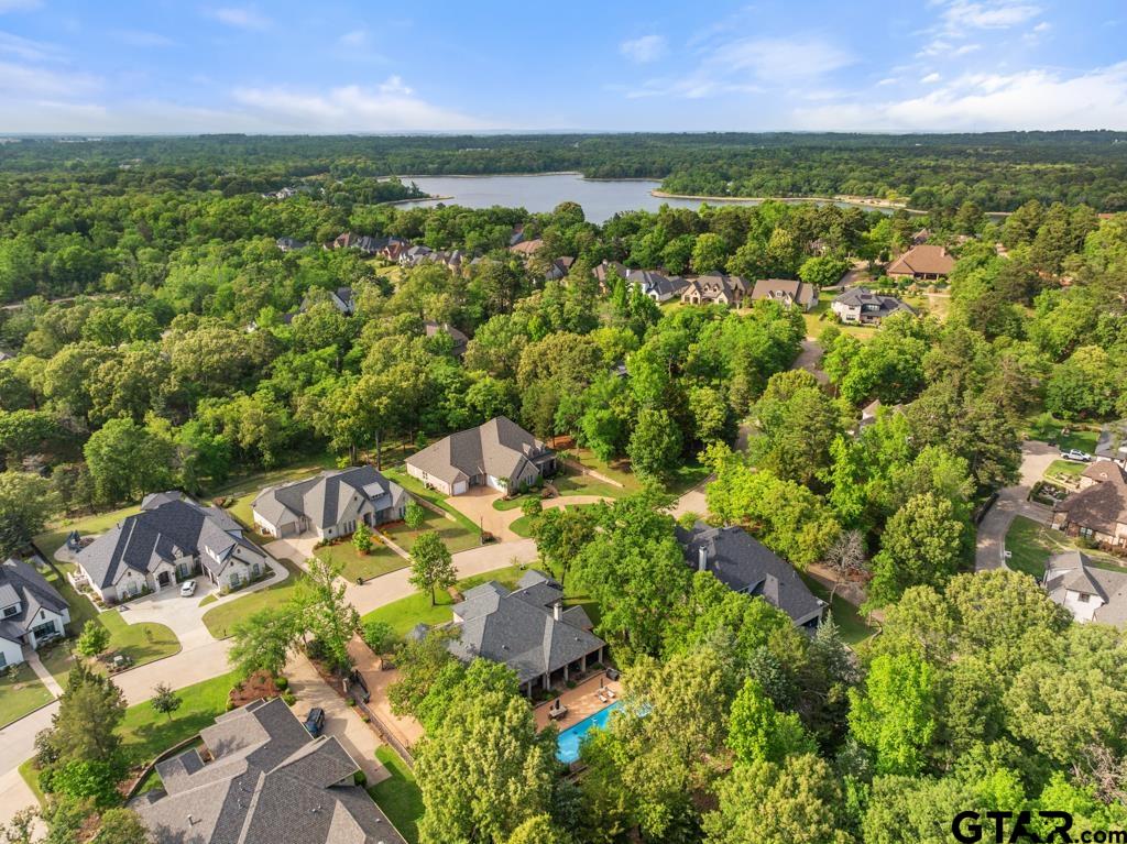 2907 Stewart Way Tyler, TX 75709 - Photo 43 of 45 an aerial view of residential houses with outdoor space and trees