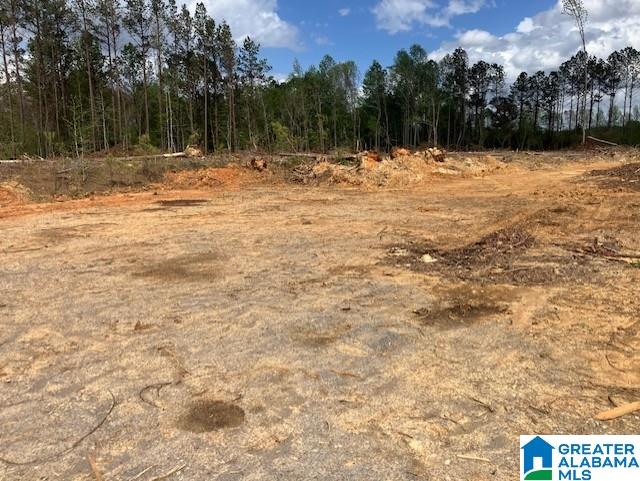 11482 Camp Oliver Road Adger, AL 35006 - Photo 41 of 48