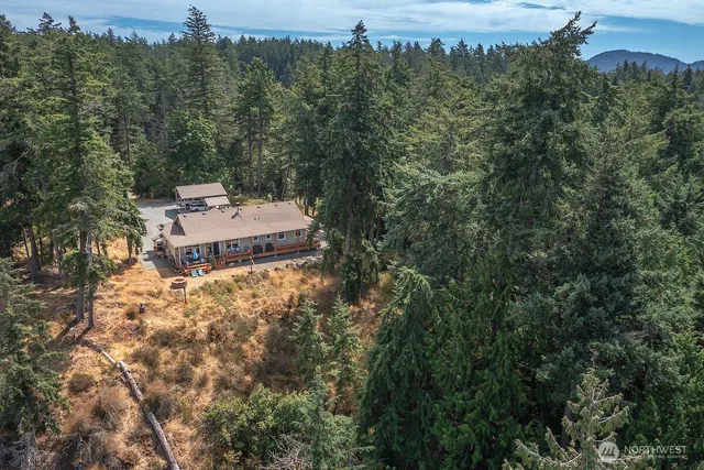 a view of a forest with a building in the background