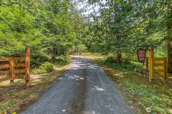 a view of a yard with an trees