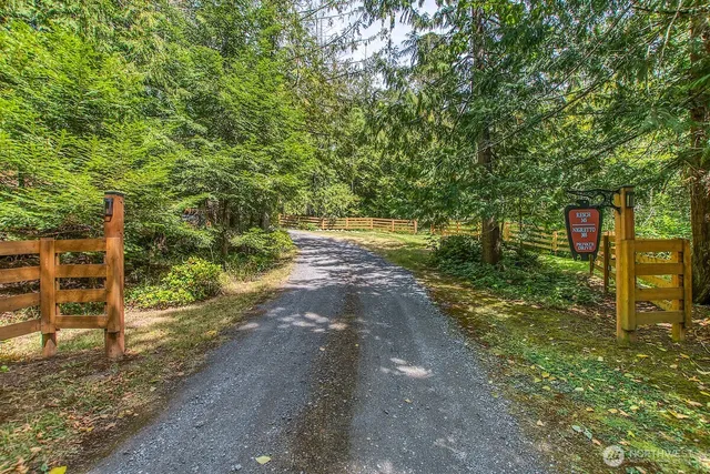 a view of a yard with an trees