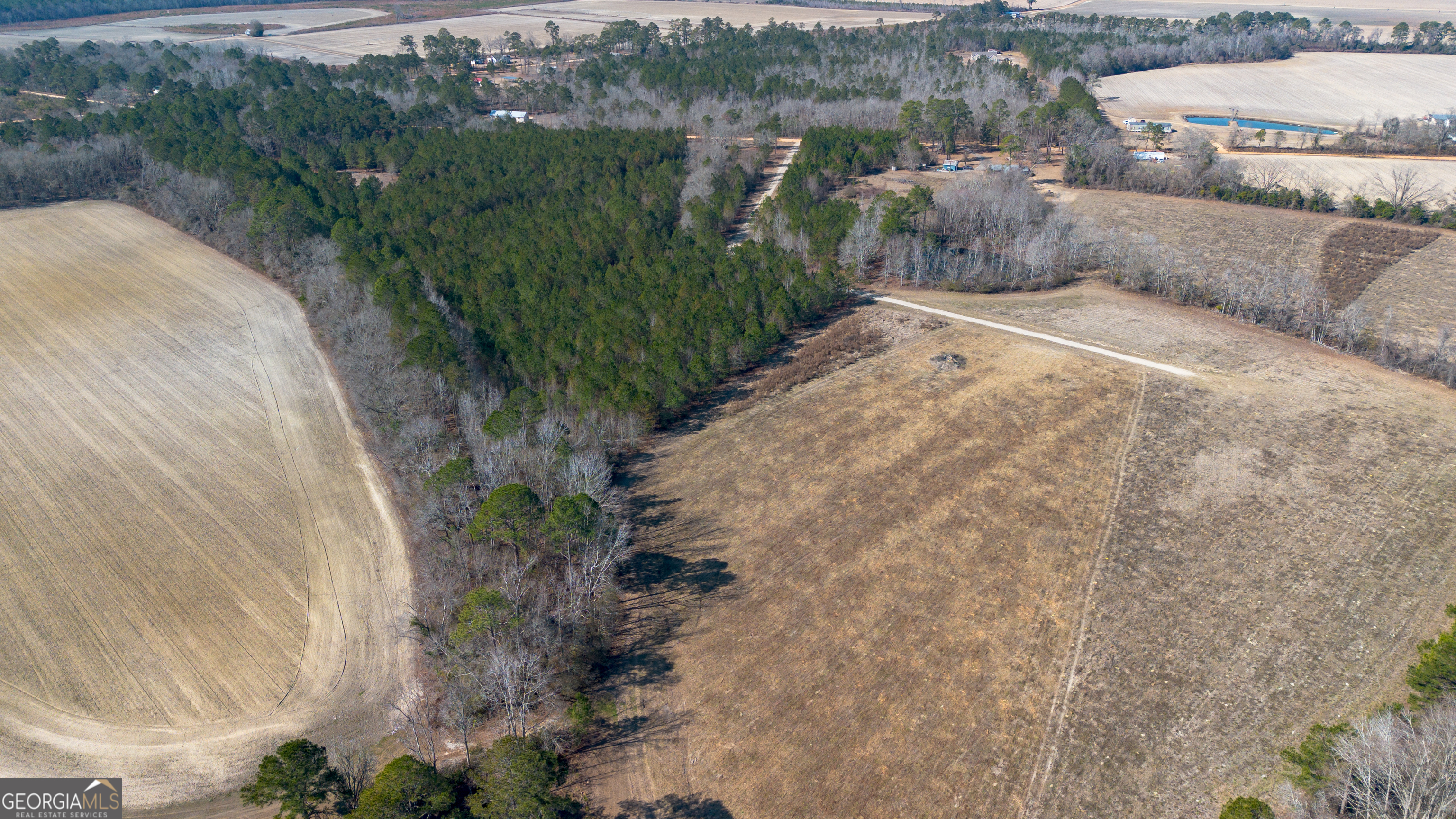 0 Clifton Road Statesboro, GA 30458 - Photo 6 of 9