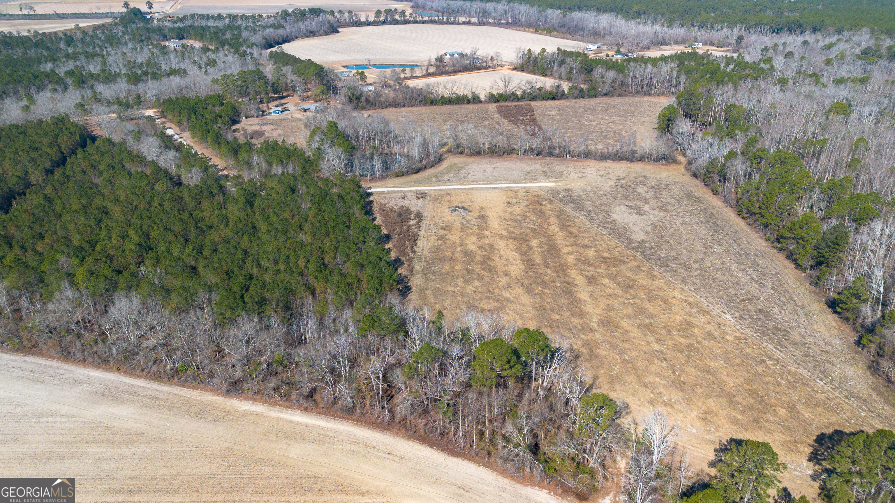 0 Clifton Road Statesboro, GA 30458 - Photo 7 of 9