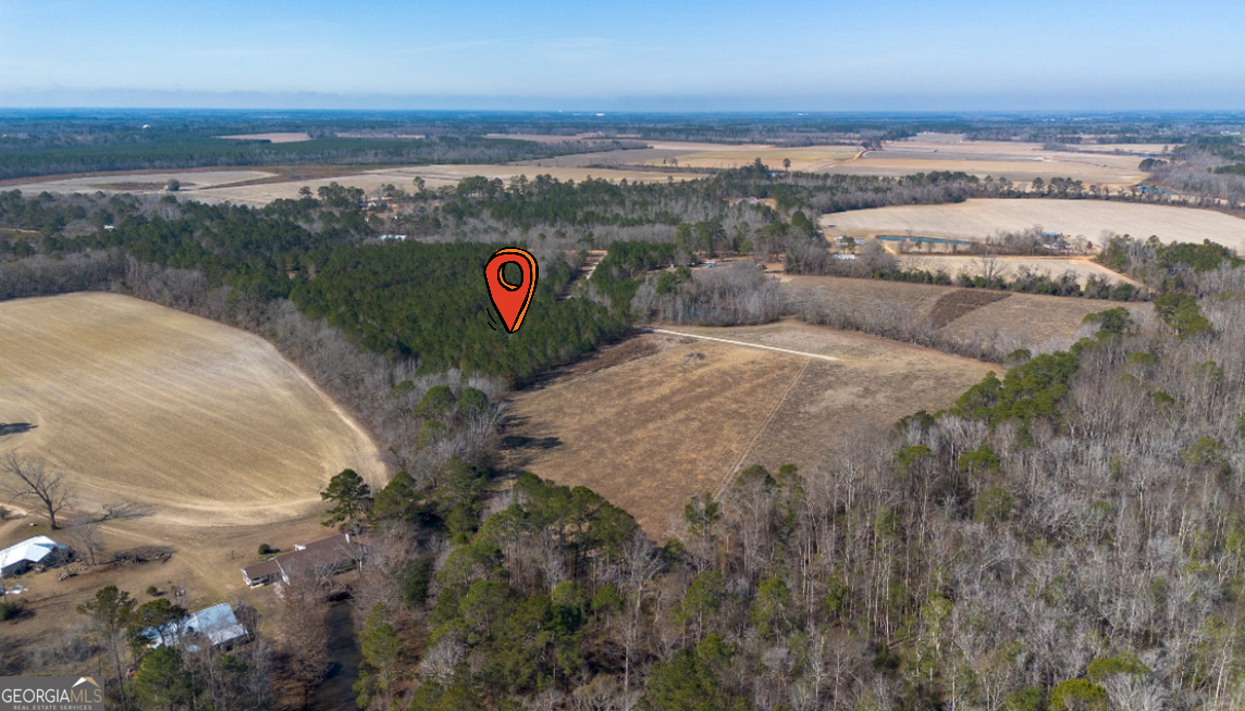 0 Clifton Road Statesboro, GA 30458 - Photo 8 of 9