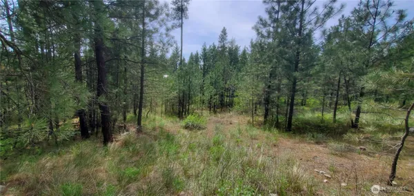 $29,900 | 1 Tonasket Wa 98855, Tonasket, WA 98855