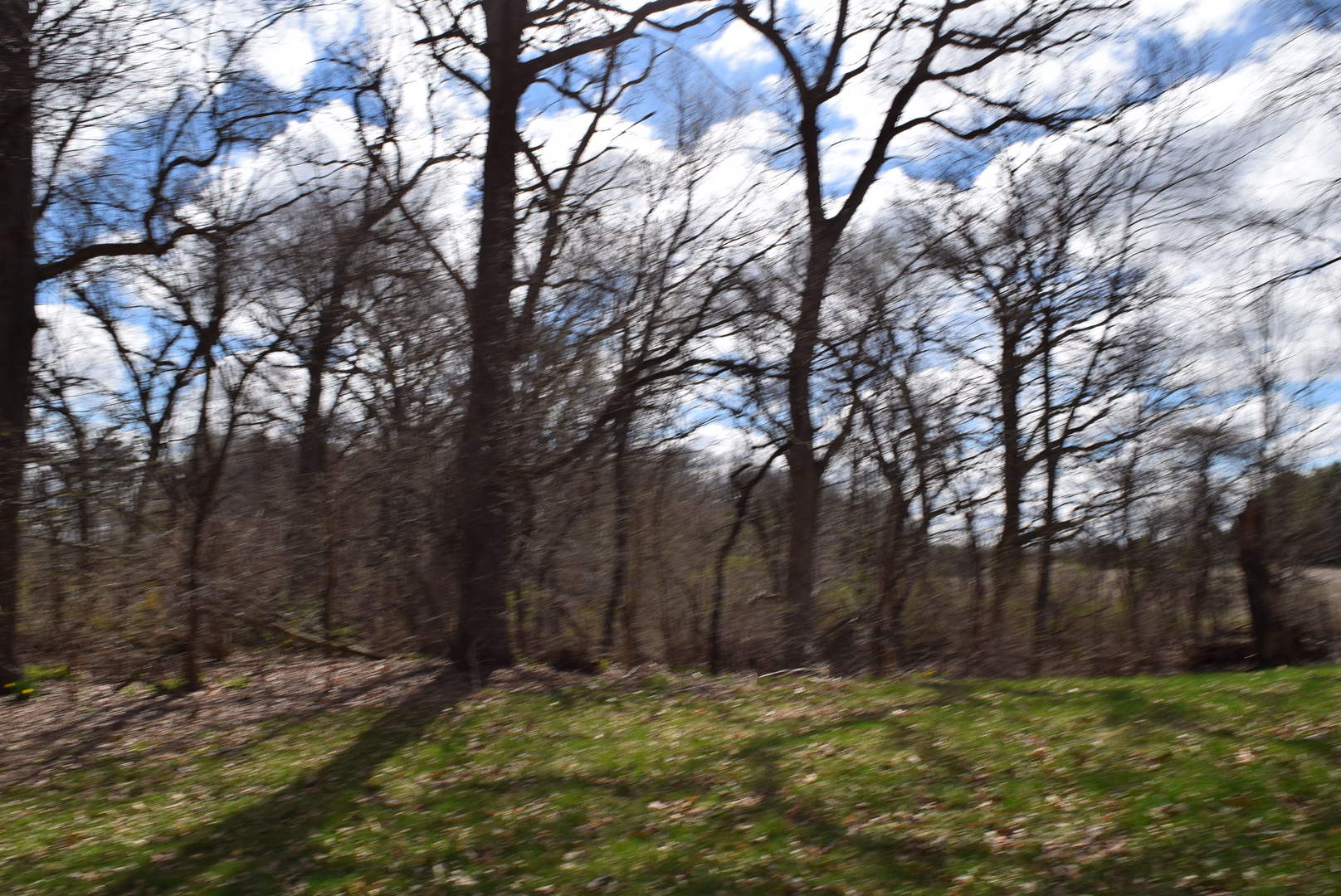 8N767 Crawford Road Elgin, IL 60124 - Photo 14 of 20