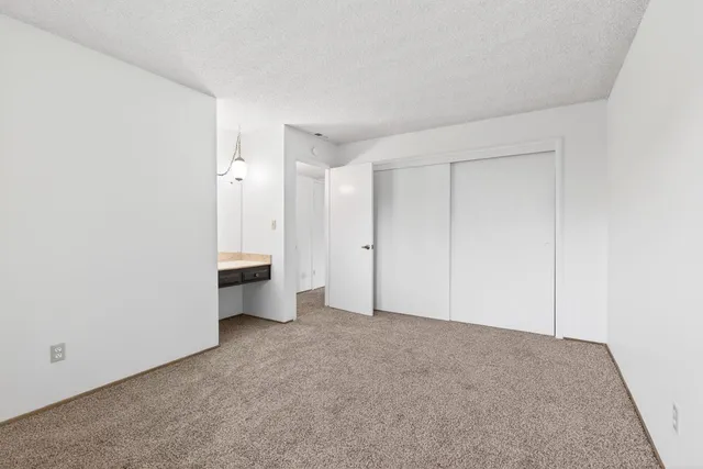 a view of a backyard with plants and large trees