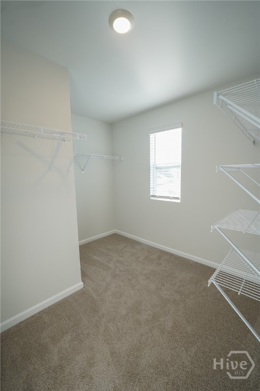 102 Painted Lady Loop Savannah, GA 31419 - Photo 14 of 32