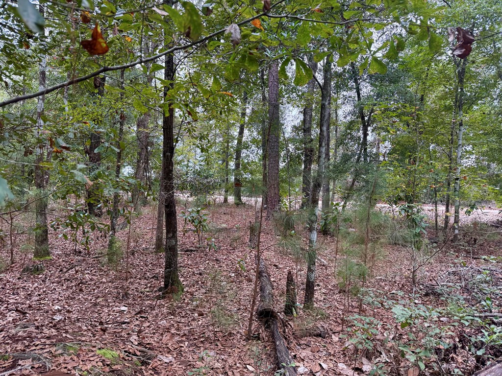 24-acres Mt Zion Road Gordon, AL 36343 - Photo 13 of 13