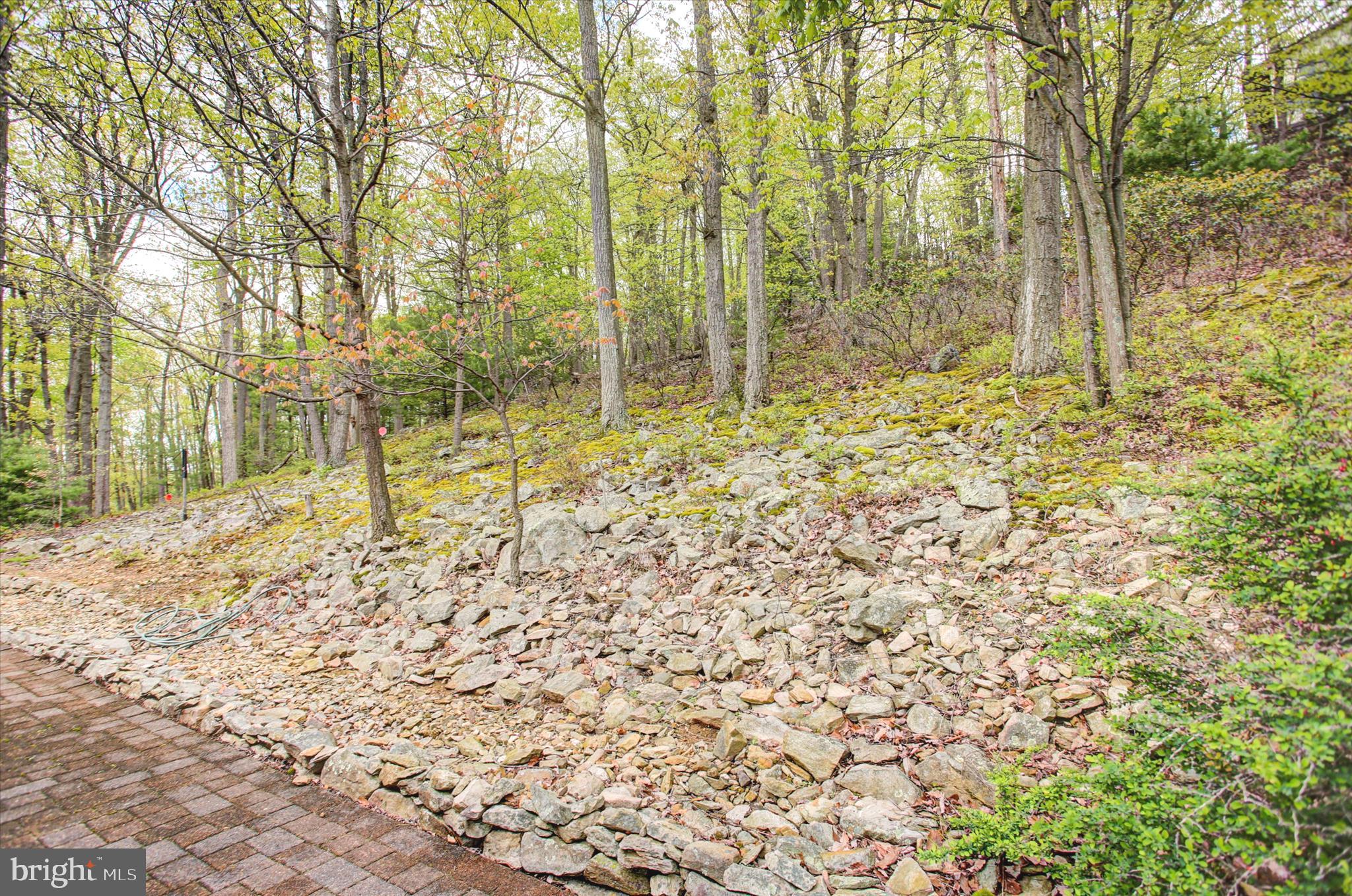 232 Mt Union Road Fayetteville, PA 17222 - Photo 35 of 39 Backyard