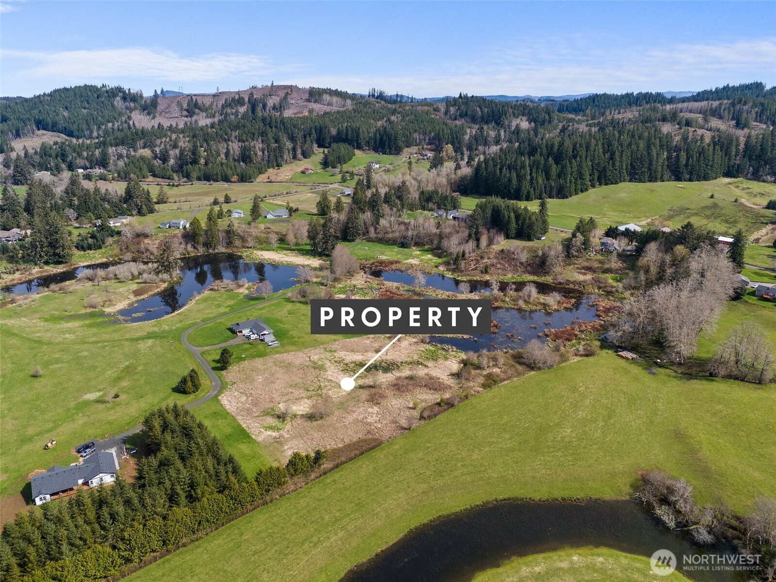 0 X Lilly Wheaton Road Raymond, WA 98577 - Photo 3 of 14 a view of a lake with a mountain