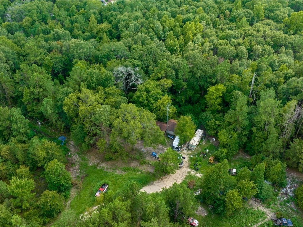 601 North John Redditt Drive Lufkin, TX 75904 - Photo 12 of 13 a view of a lush green forest with lots of trees