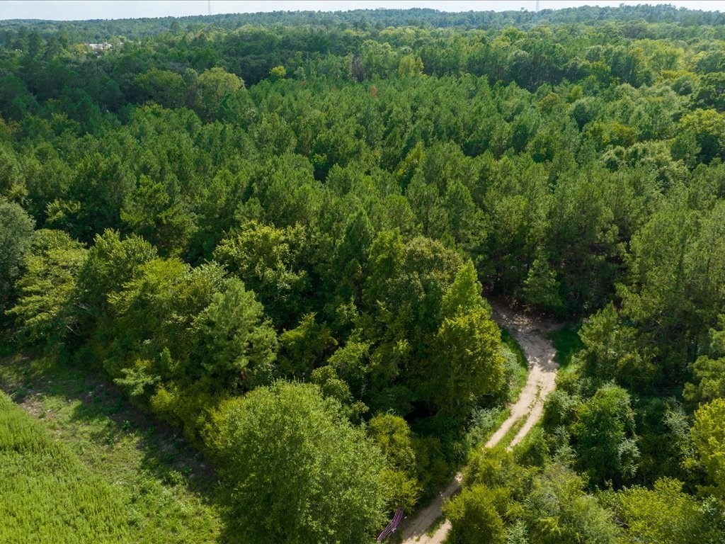 601 North John Redditt Drive Lufkin, TX 75904 - Photo 9 of 13 an aerial view of a forest with houses