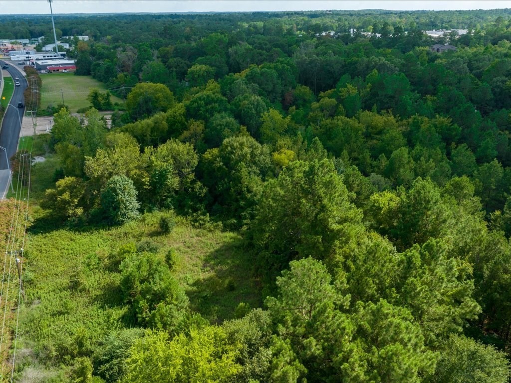 601 North John Redditt Drive Lufkin, TX 75904 - Photo 10 of 13 a view of a forest with a houses
