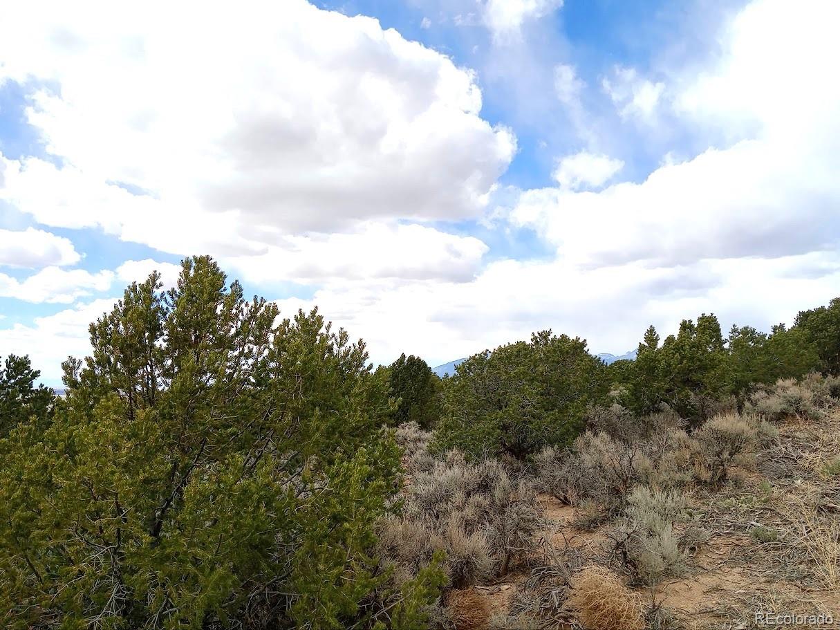 Lot 1258 Michaels Road Fort Garland, CO 81133 - Photo 6 of 14 Gallery Image 6