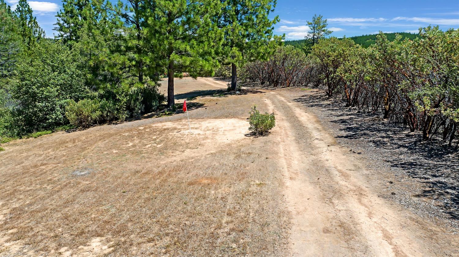 12336 Scott Road Mountain Ranch, CA 95246 - Photo 49 of 70