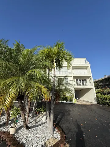 a view of a palm trees