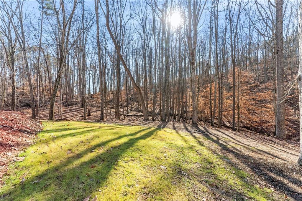 3523 Lighthouse Lane Gainesville, GA 30504 - Photo 60 of 72 a view of swimming pool with large trees and wooden fence