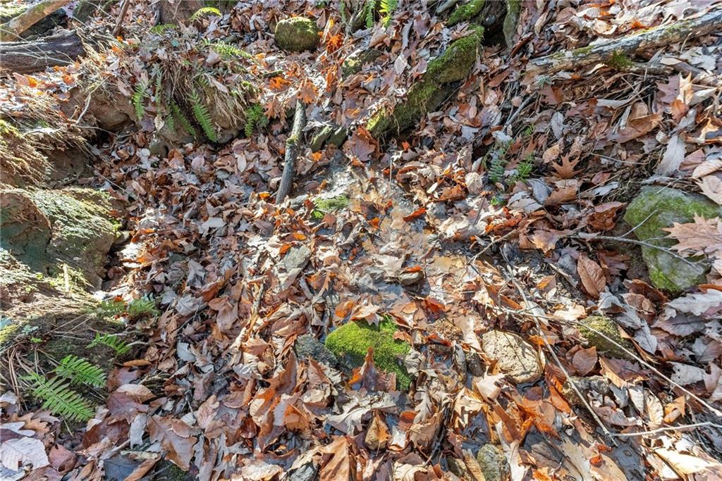 3523 Lighthouse Lane Gainesville, GA 30504 - Photo 64 of 72