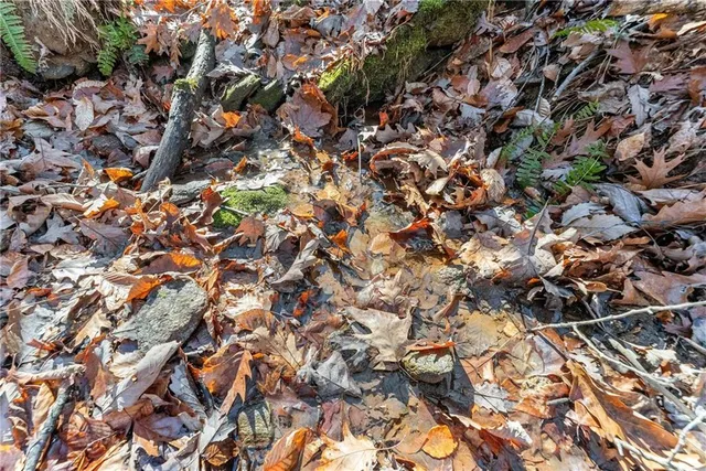 $799,900 | 3523 Lighthouse Lane, Gainesville, GA 30504